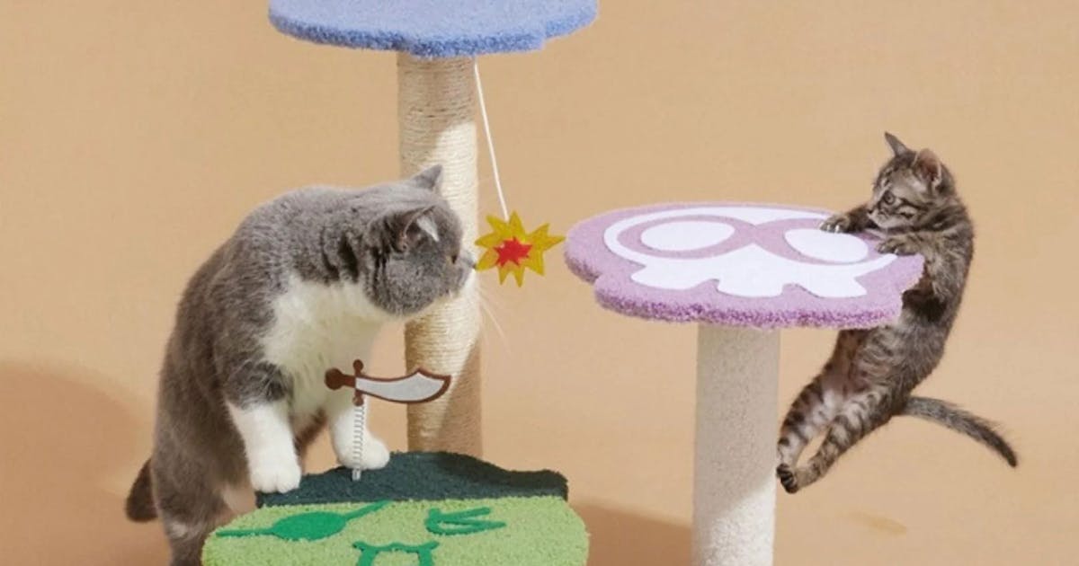 Discover Melbourne’s Premier Pet Store: PawPawUp Discover Melbourne’s Premier Pet Store: PawPawUp